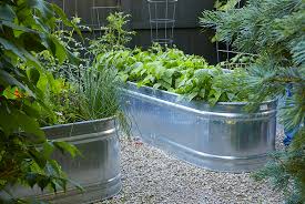 The galvanised raised garden bed is easy to put together and durable in every weather condition. How To Grow Vegetables In A Galvanized Raised Garden Bed Garden Gate