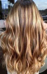Honey Gold Bronde Mane Interest Cheveux Chatains Cheveux Et Couleur Cheveux
