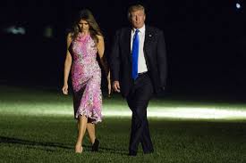 I gaze out at the seattle skyline bathed in the pearly pink light of dusk. Fifty Shades Freed Dakota Johnson S Shock Connection To Melania Trump Films Entertainment Express Co Uk