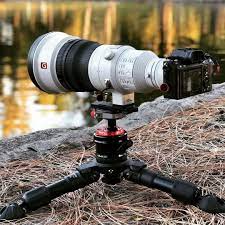 Sony Camera For Youtube Videos Sony Cameras Flip Screen Cameraaddict Cameraner Wildlife Photography Photography Gear Wildlife Photography National Geographic