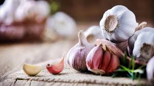 Die antibakterielle wirkung von knoblauch mildert. Knoblauch Wirkung Und Inhaltsstoffe Brigitte De