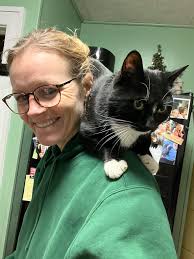 My boys! (Wicket, Chewie, Kylo)