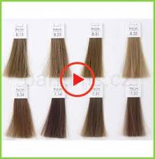 Loreal Inoa Hair Color Chart 55 Ideas I 2020 Har Og Skonhed