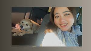 Everyone thank you for all the prayers Benji has been found!! Thank you so  much everyone!!