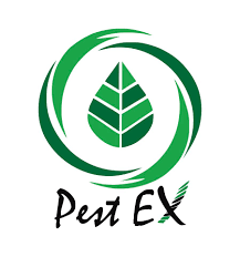 Pestex is the uk's trade exhibition and conference for the pest control industry. Pestex Maldives Local Mv