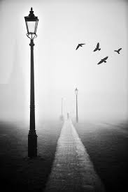 Check spelling or type a new query. Commercial Abstract And Landscape Photography Mike Curry Photography