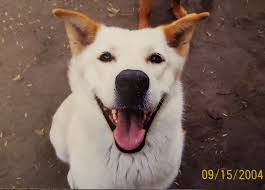 Jerome French Obituary