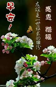 pin by shell on chinese quotes good morning greetings morning greeting beautiful quotes