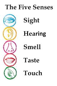 five senses name - Clip Art Library