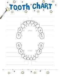 71 Correct Dental Tooth Numbering