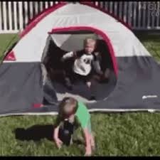Many nitro users have difficulty finding gifs. Thevideobook Lustig Guay Gif Find On Gifer