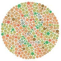 The test consists of 38 ishihara plates which are colored plates that contains dots of different size and color. Colorlite Color Blindness Test Color Blind Test Test Your Color Vision Color Vision Test