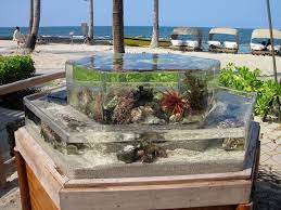 Apr 04, 2021 · a 100 gallon fish tank is a type of vessel where different species of marine animals such as fishes and plants can live. 100 Gallon Hexagon Touch Tank By Zeroedgecustom Aquariums Fish Tanks Filtration Zeroedge