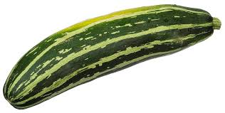 Maybe you would like to learn more about one of these? Zucchini Wikipedia