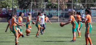 El 6 de octubre de 1979 se presenta a la comunidad la insignia oficial de cobresal, que es el símbolo de codelco con un balón de fútbol en el centro y un . Las Graves Denuncias De Abandono A La Rama Femenina De Cobresal