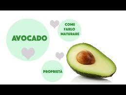 Oggi vi mostriamo come siamo riusciti a far germogliare un seme di avocado che speriamo presto diventi un piccolo albero! Avocado Come Farlo Maturare Proprieta Curiosita Youtube