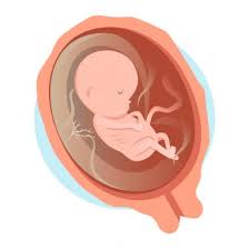 Pareil pour ma poitrine, je suis passé d'un bonnet c à e en 3mois. Memo Du 4eme Mois De Grossesse Autour De Bebe Conseils