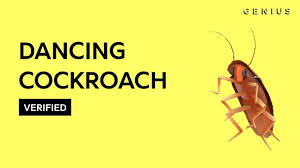 Dancing Cockroach Autotune Verified Youtube