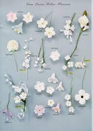 We did not find results for: Gum Paste Flowers Fondant Flower Tutorial Sugar Flowers Tutorial Sugar Paste Flowers