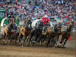 A popular addition to many holidays in canada is undoubtedly the incomparable calgary stampede. Calgary Stampede Calgary Stampede Packages 2021 2022
