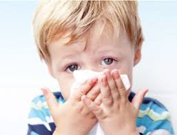 1/ traitement de la rhinite allergique saisonnière ou perannuelle de l'adulte et de l'enfant de plus de 6 ans. Ø§Ù„ØªÙ‡Ø§Ø¨ Ø§Ù„Ø£Ù†Ù Ø§Ù„ØªØ­Ø³Ø³ÙŠ Ø§Ù„Ø£Ø¹Ø±Ø§Ø¶ ÙˆØ§Ù„Ø¹Ù„Ø§Ø¬ Alghad