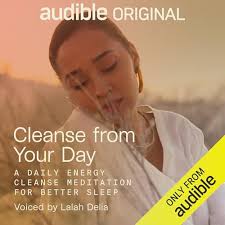 Amazon.com: Pregnant in the Netherlands : Anna Latham: Audible Books &  Originals