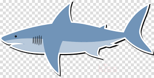 We did not find results for: Great White Shark Background Clipart Drawing Cartoon Illustration Transparent Clip Art
