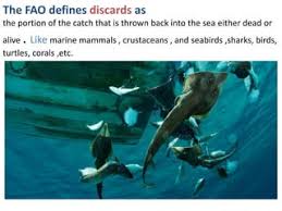 نتیجه جستجوی لغت [discards] در گوگل