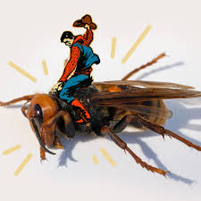 Fighting The Murder Hornet Invasion With Dental Floss Sbnation Com Charlotte hornets regular season rosters.