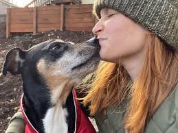 Fundraiser by Emma Heim : Support Luna's Liver Mass Removal