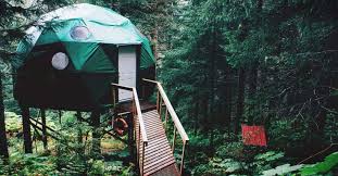 30 Geodesic Dome Ideas For Greenhouse Chicken Coops Escape Pods And More In 2021 Geodesic Dome Geodesic Outdoor