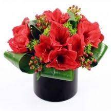 Amaryllis Radiance Amaryllis Flowers Flowers London Flower Delivery