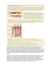 Fotonii sunt o componenta a luminii. Radiatii Infrarosii