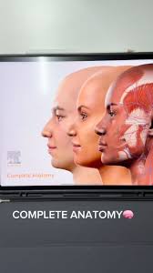 With more than 20 active student clubs, Palmer Florida offers an array of  additional learning opportunities geared toward the specialties and  techniques that interest our students. Even more exciting is that clubs