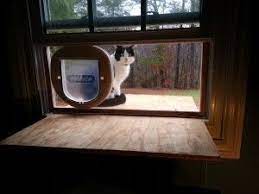 the cat door window phase one doug s blog cat door diy cat door cat diy