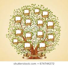 Family Tree Stock Vectors Images Vector Art Shutterstock
