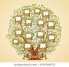 family tree stock vectors images vector art shutterstock