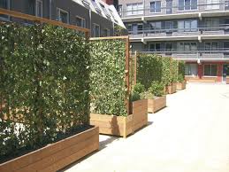 Gestalten Mit Hecken Sofort Grun Mit Geringem Platzbedarf Screen Plants Side Yard Landscaping Privacy Screen Outdoor