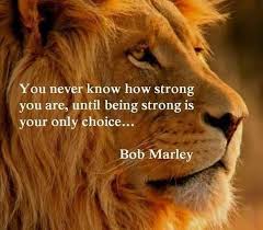 You will get through it, and it will make you stronger. Helyn Bolanis On Twitter Bob Marley Quotes Lion Quotes Bob Marley