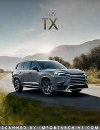 Image result for Wind Chill 2025 TX