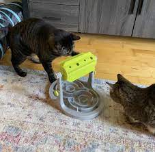 The large holes easily accommodate a dental diet, a preferred kibble when implementing foraging. 17 Puzzles On Amazon That Actually Challenge Cats