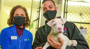 If you would like to participate, you. Ally Makes Generous Donation To Humane Society Of Charlotte Nascar