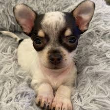 Thank you Austin for your energy and love last night ♥️ Texas, are you  ready to keep dancing with me all weekend!? 💃🏻 #MagicSummerTour