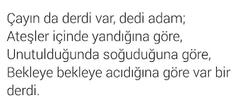 Dertsiz Bas Sadece Bostan Korkulugunda Olur Deri