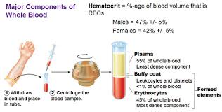 Image result for Blood Volume