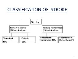 Image result for Hemorrhage Classification