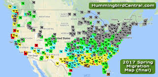 2017 Hummingbird Spring Migration Map 2017 Hummingbird