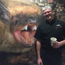 Norfolk, va 32 pest control companies near you. Getem Services 664 Photos 2 Reviews Pest Control Service 1261 W 42nd St Norfolk Va 23508
