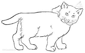 1001 Ausmalbilder Tiere Katze Ausmalbild Katze