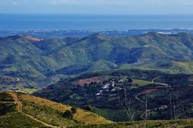 We did not find results for: Monchique Portugal Service